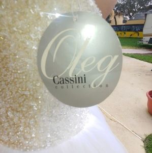 Wedding dress never used . Still has tag .